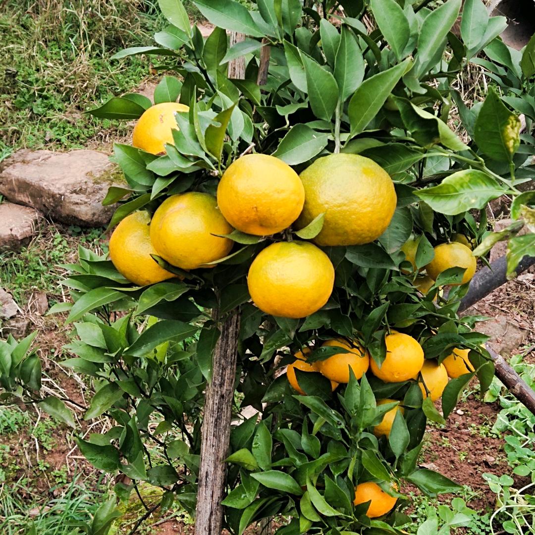 我的高傲，尔等岂懂