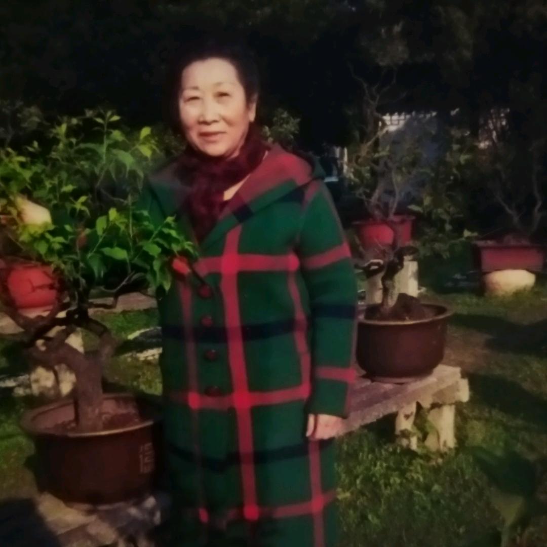 魏大姐（河南开封）下午5:30开经验分享