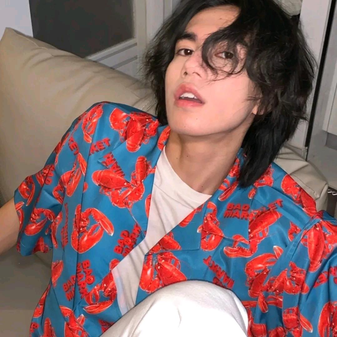 小灰灰是块海饼干