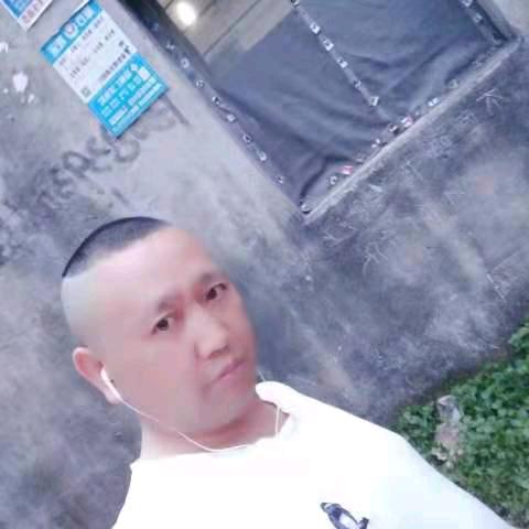 平哥（手机摄影）