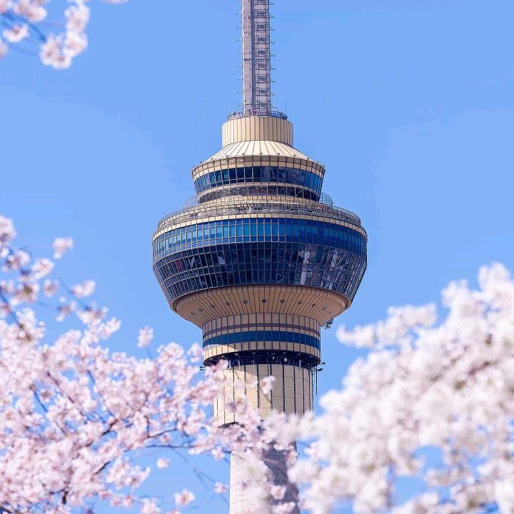 爱唐