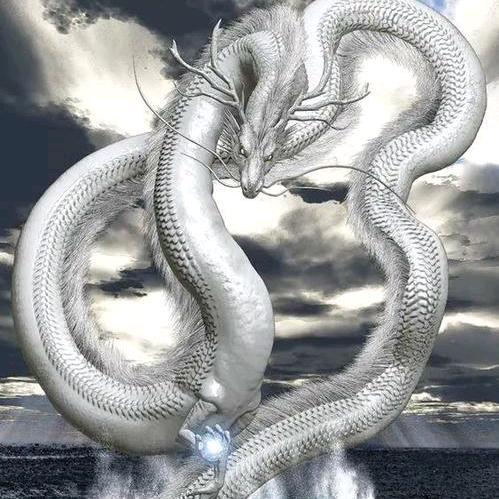 钟坤