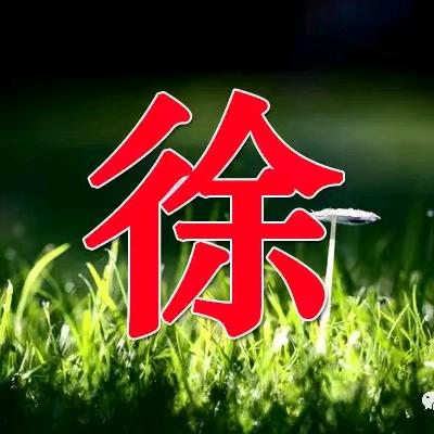 🐯虎虎生威🐯