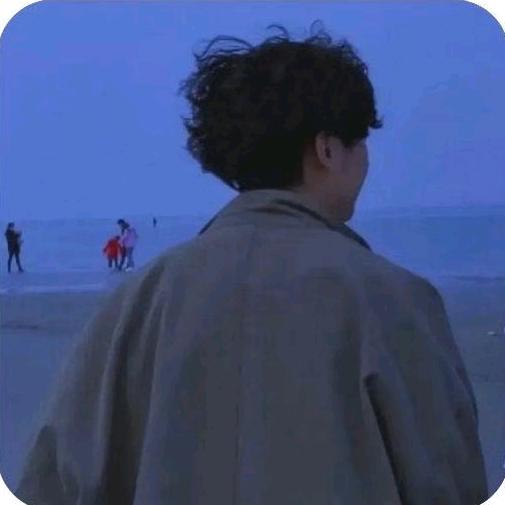 锦鸿