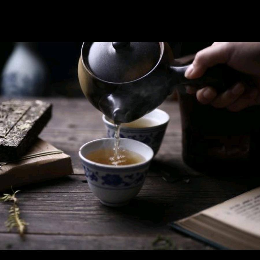南来茶往
