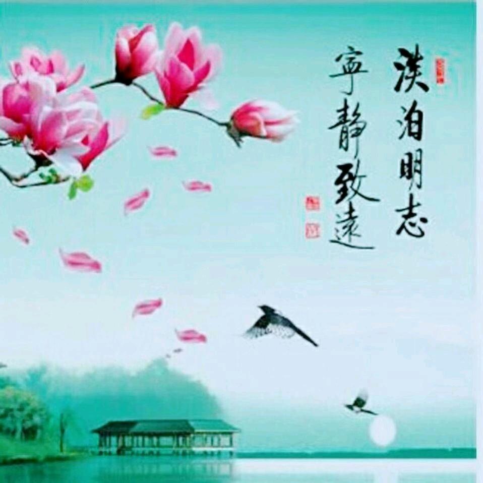 宁静致远