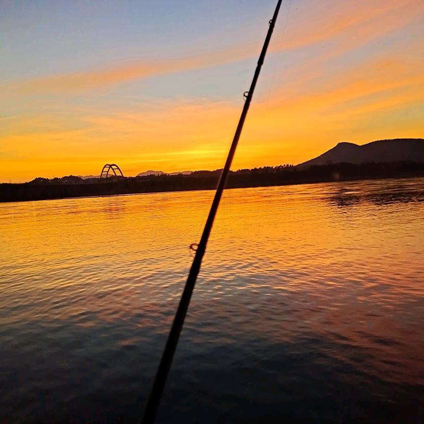 一只鱼🎣