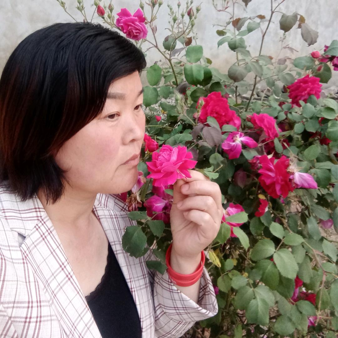 笑口常开