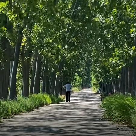 城中废院种菜养花