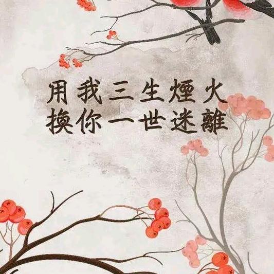 🌻吉祥宝🍁