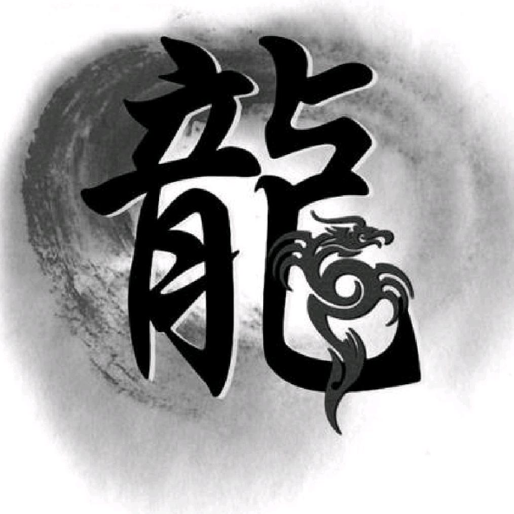 龙老师说车