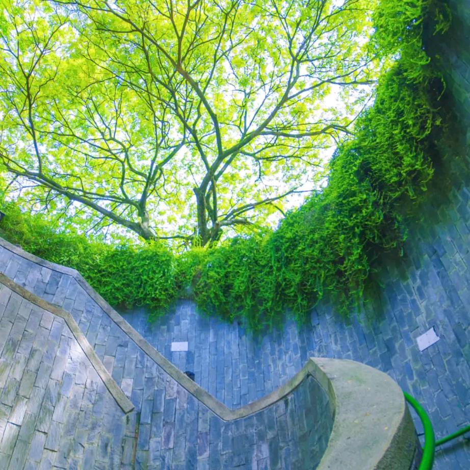 夜瑟音乐餐吧