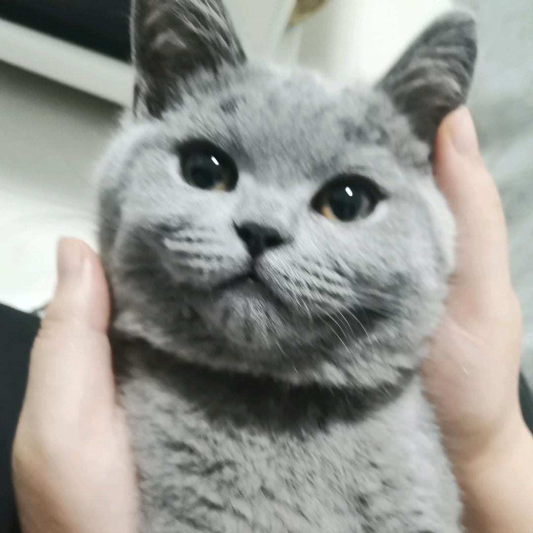 默一