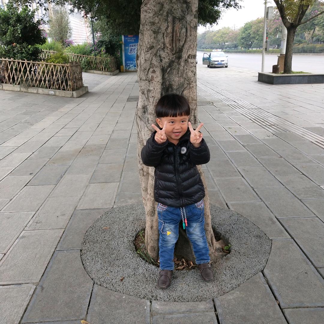 陌清阳