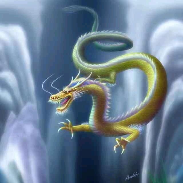 飞龙
