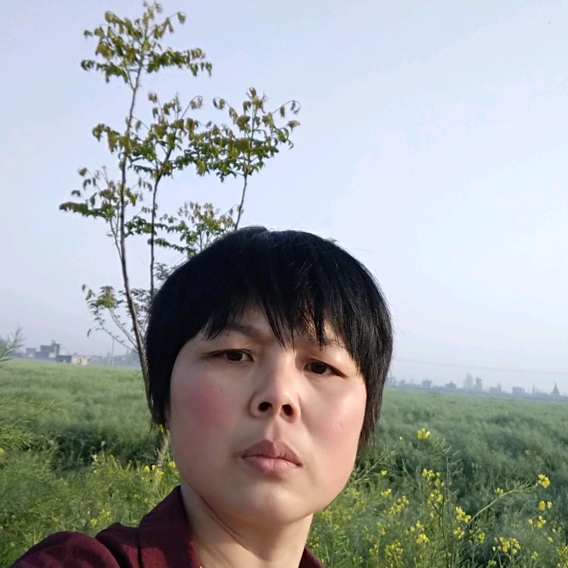 @翠翠乐队
