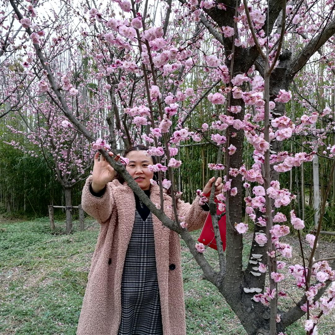 蔬菜水果合作社
