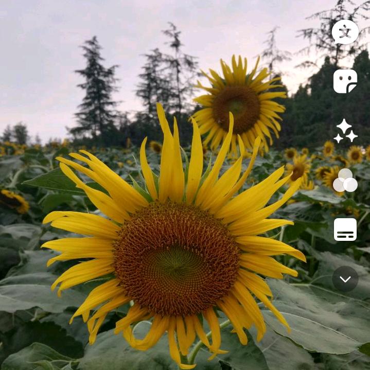 @芳芳姐