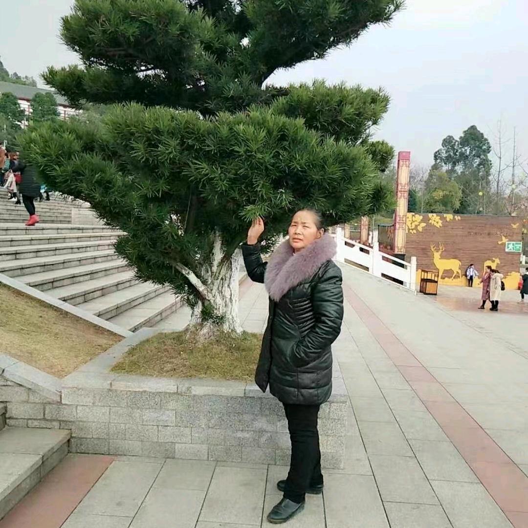 华中物流
