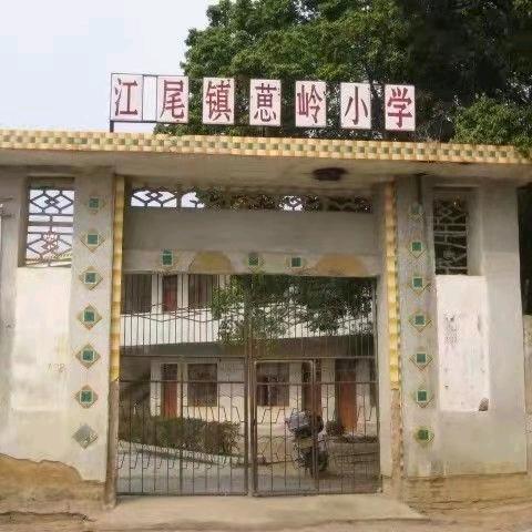 张大为