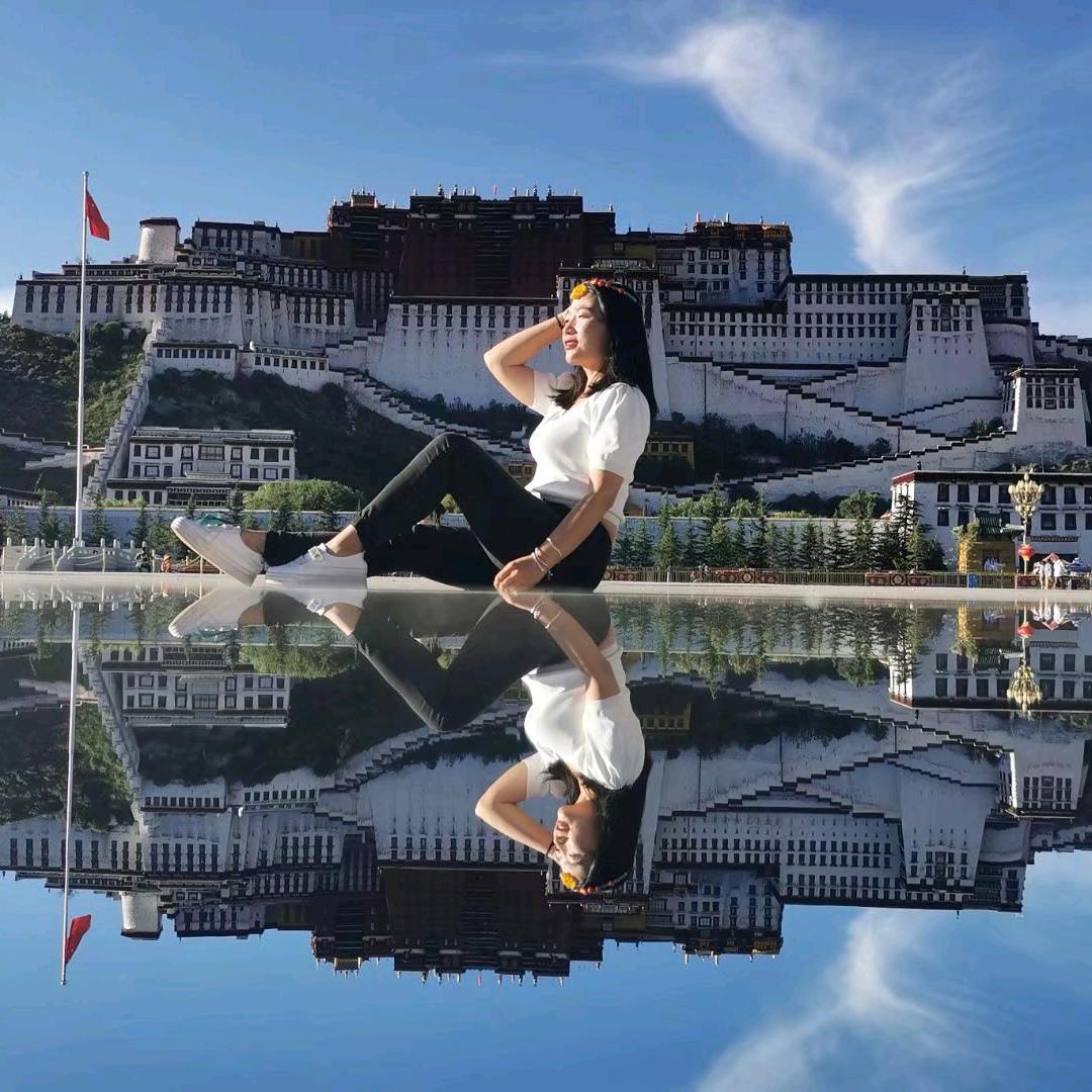 桐宝贝