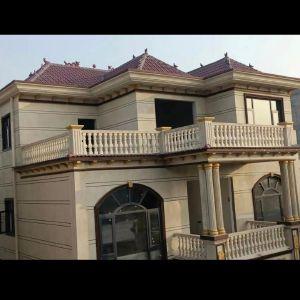 惠来太和钢结构琉璃瓦--龙