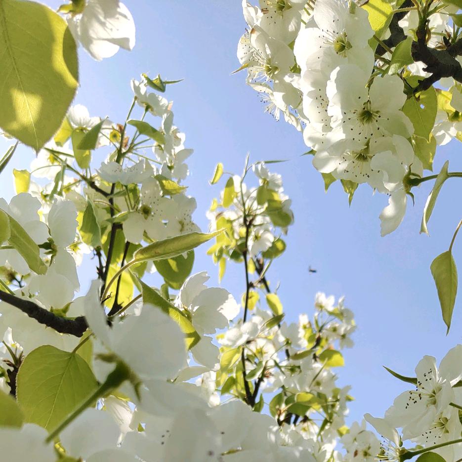 武烈路店 维修狂徒张三