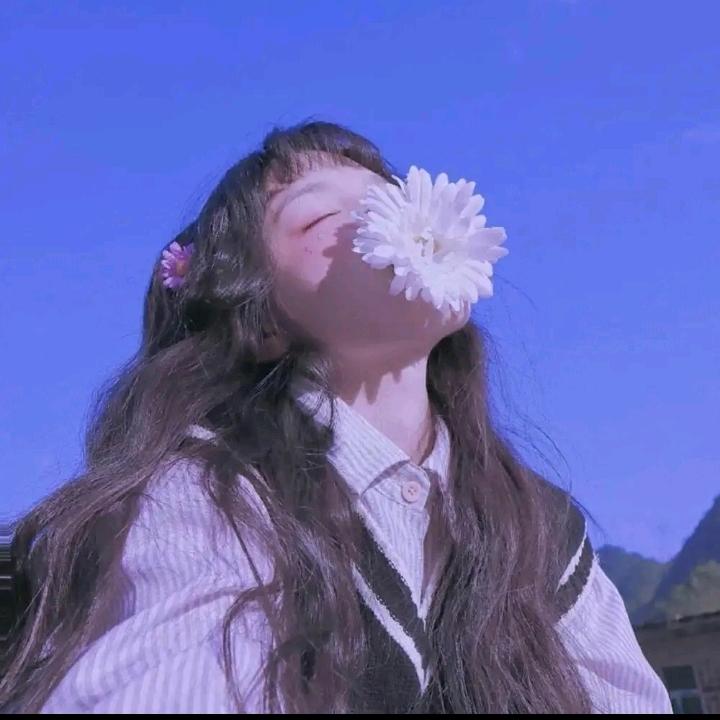 然宝吖