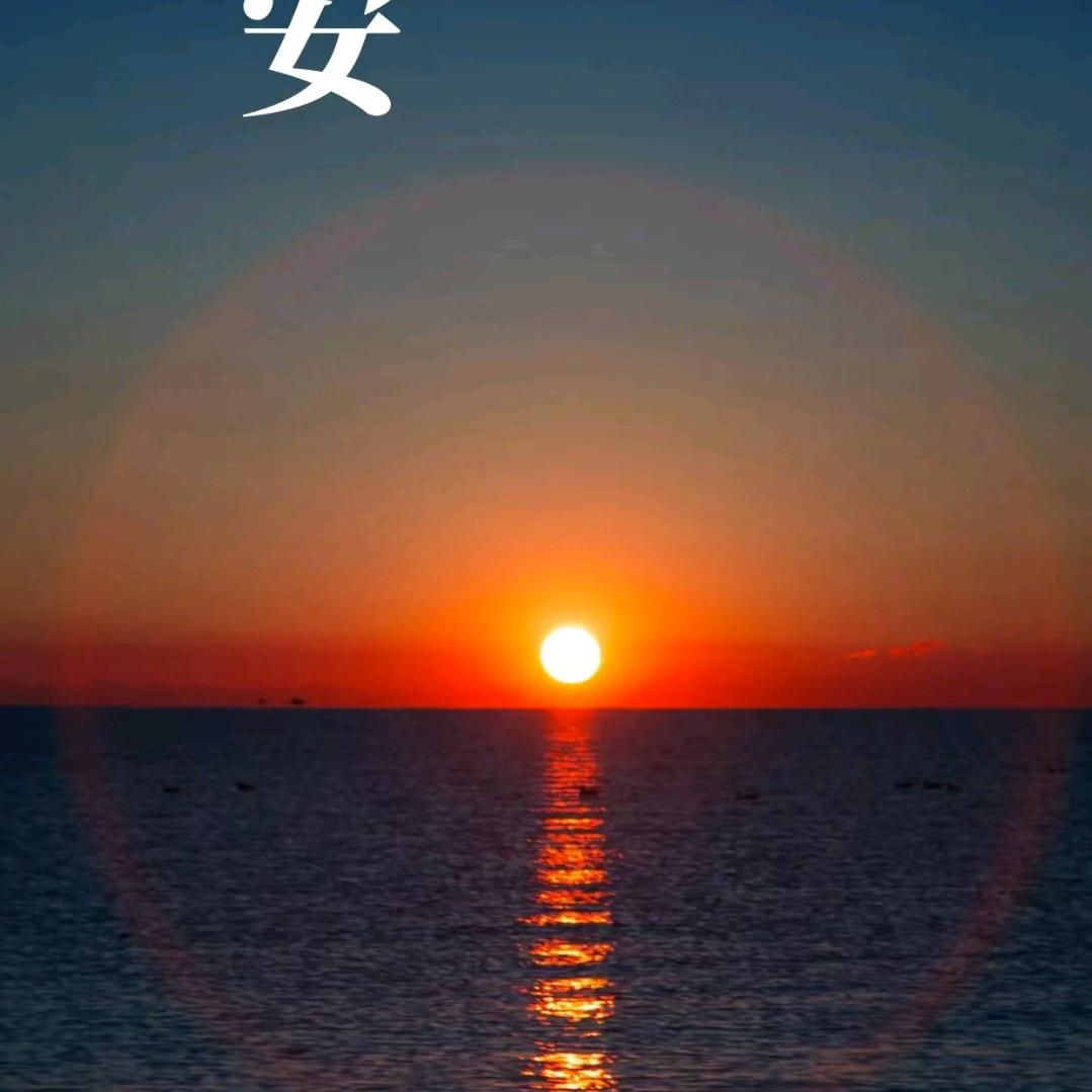 沂南扬益贸易商行