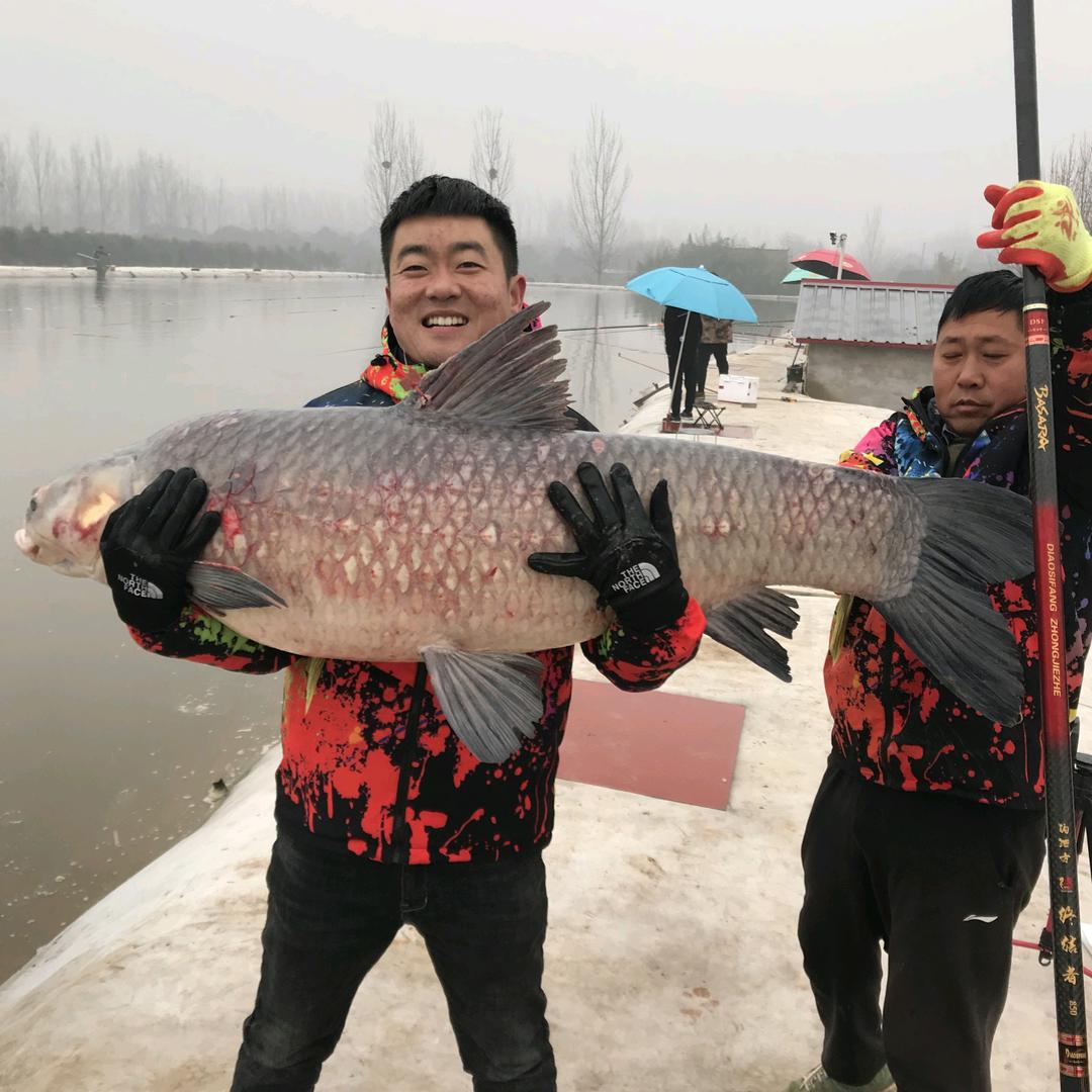 钓泗方力王(钓泗方渔具)推广号