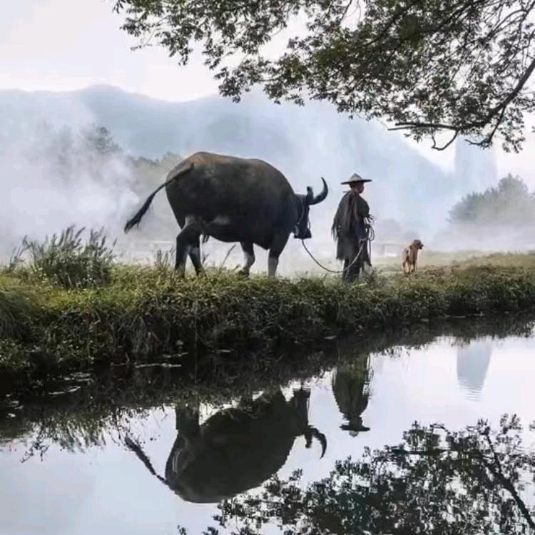 我的