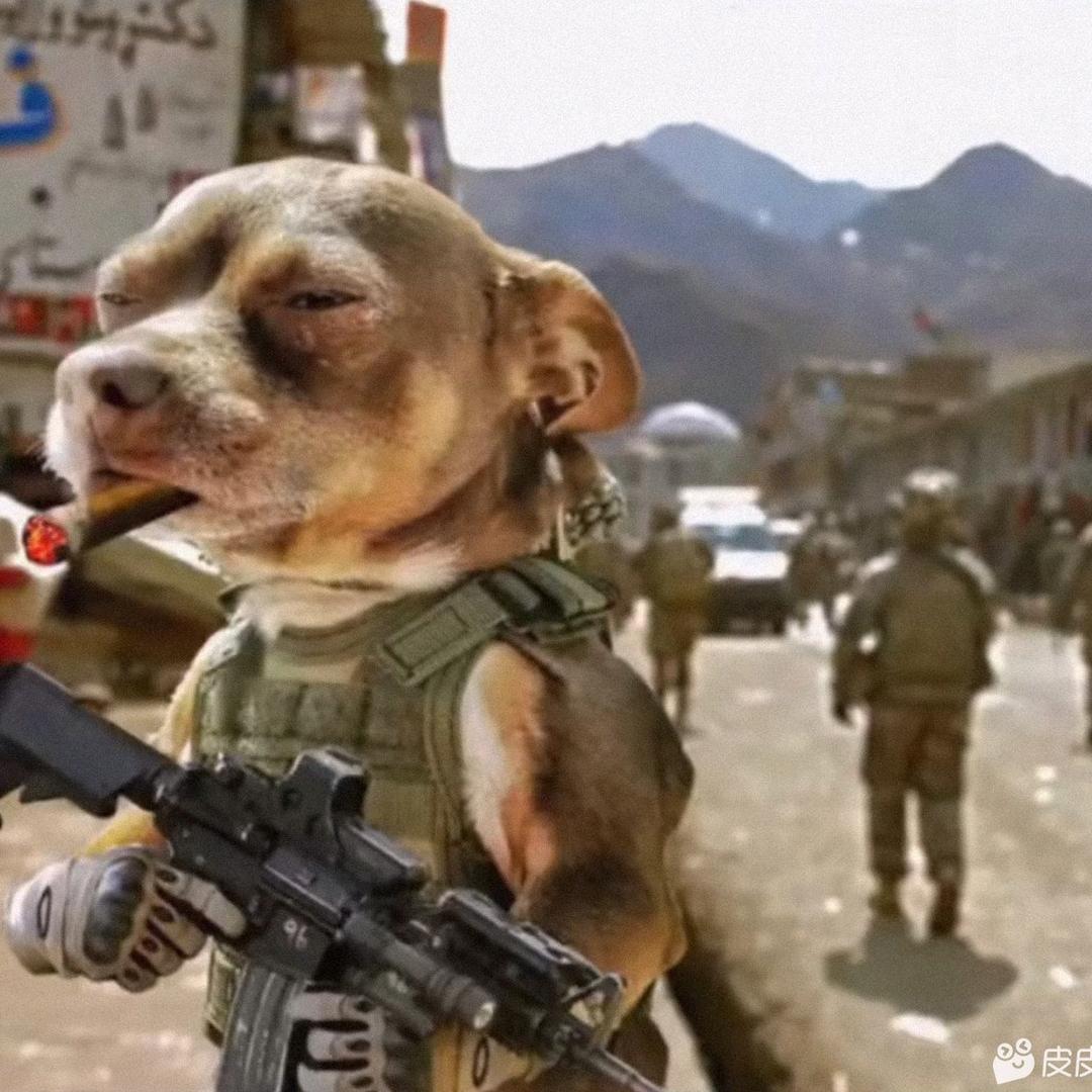 家里村张伟铜锅涮肉（洪庆分店）