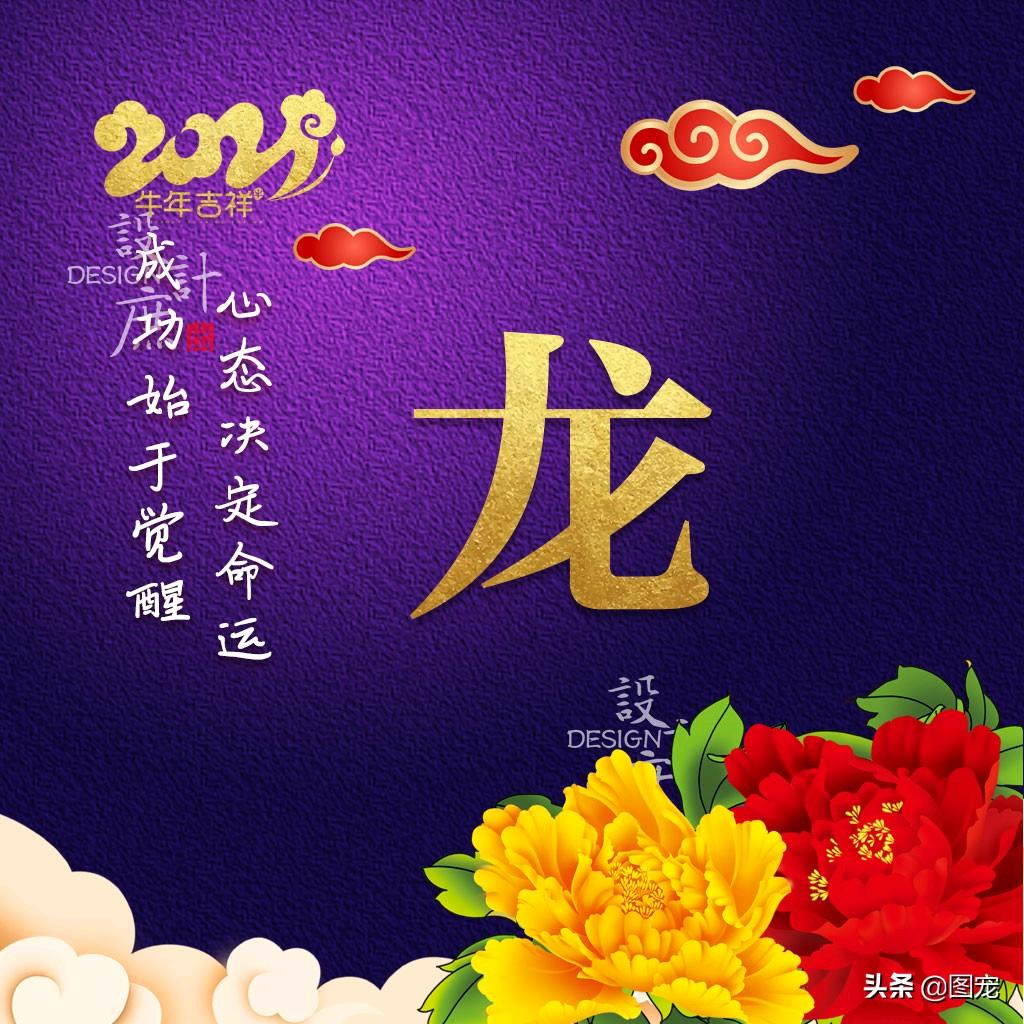 小龙☞