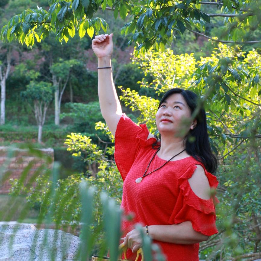 佰瑞旅游凌海飞