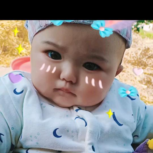 手机用户74651023242