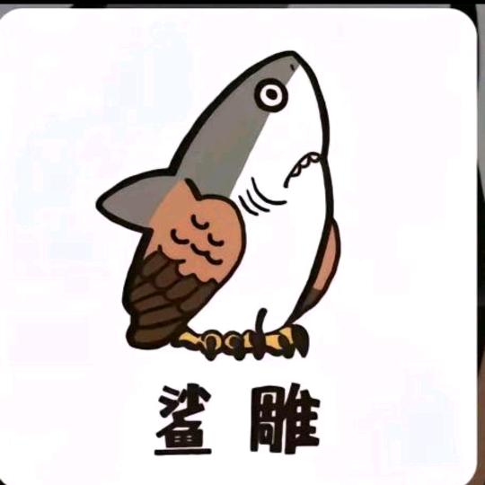 娟儿