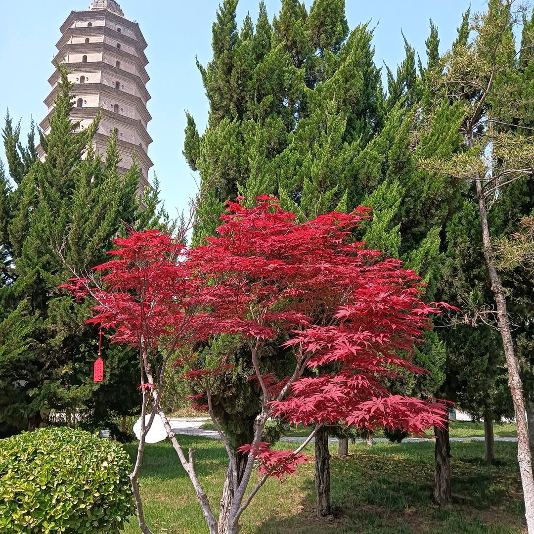 李焕平