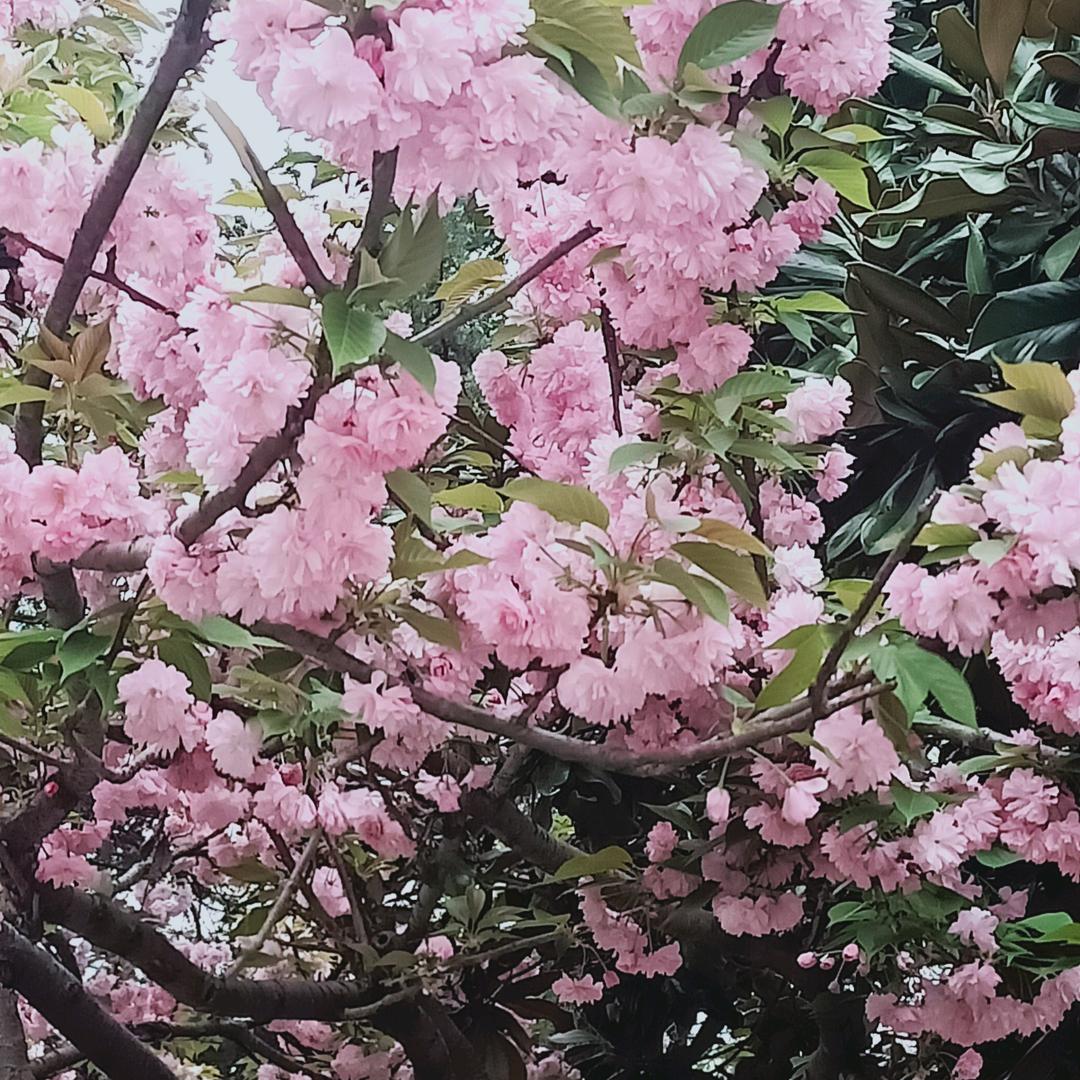 余生好好爱自己