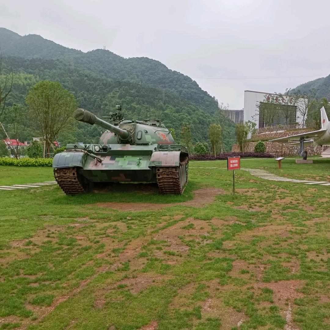 迎客树