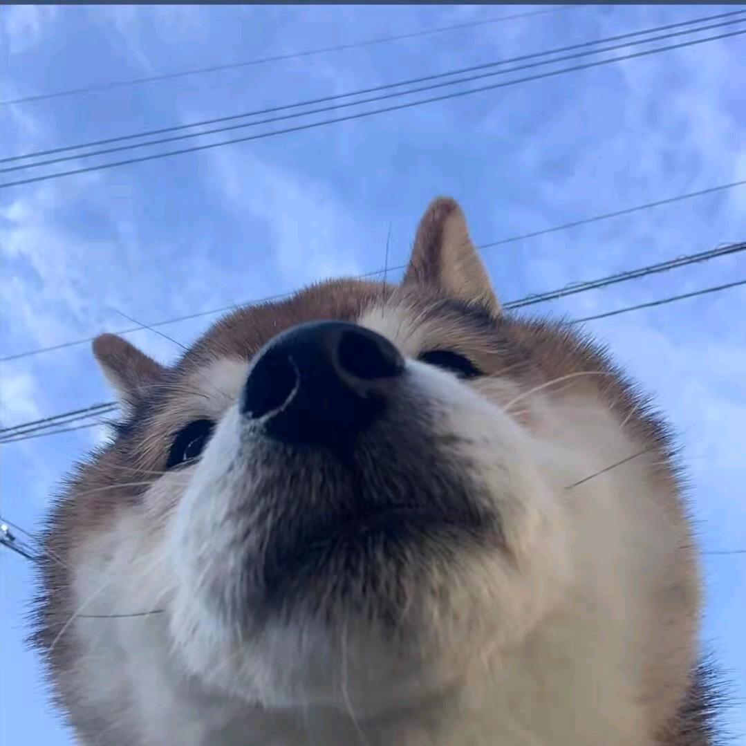 @杨小姐的李先生。