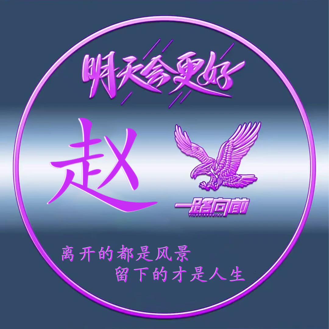赵有才