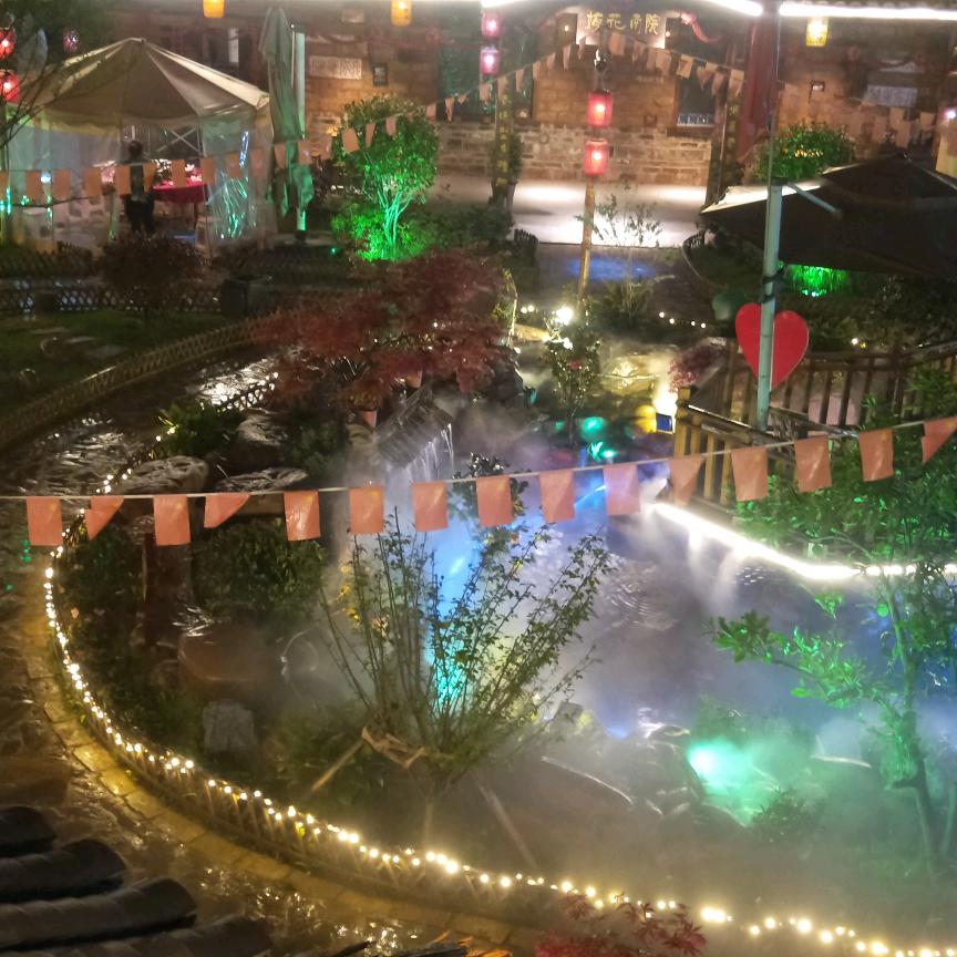 深山居士之野鹤