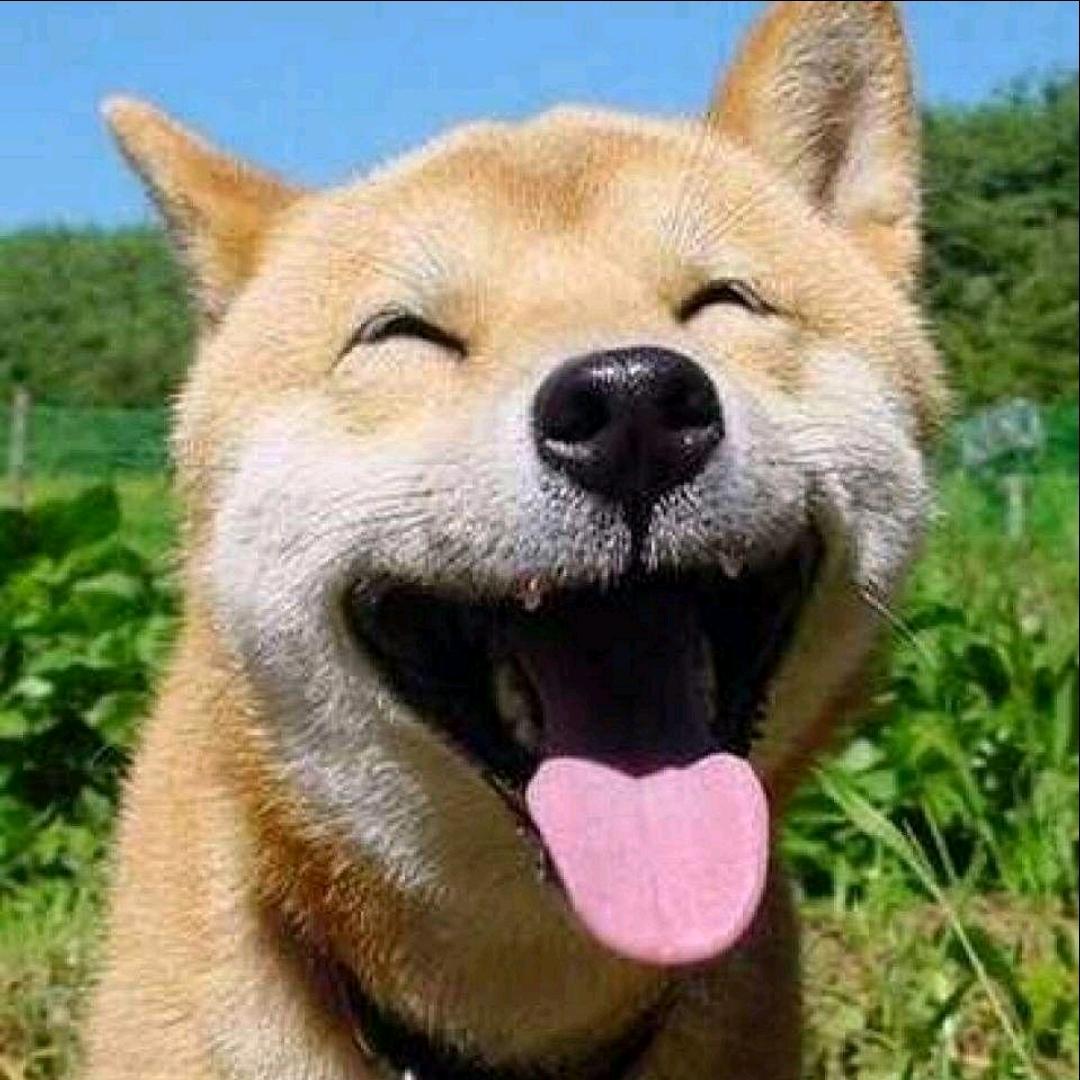 杨土货