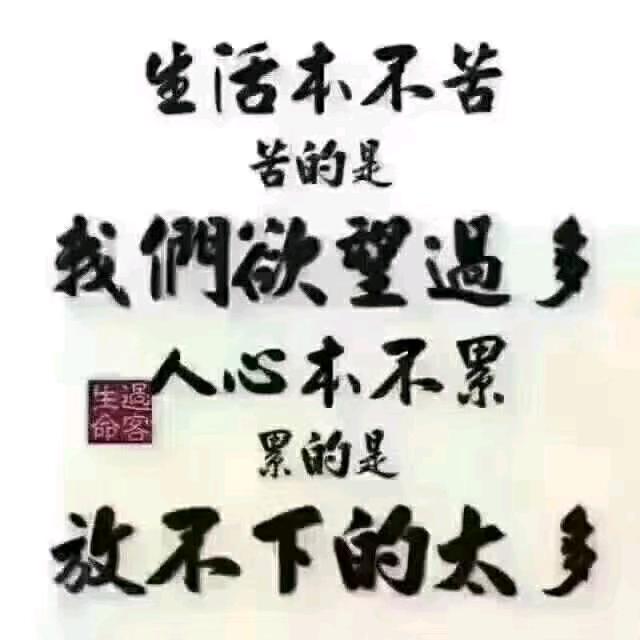 孤鸿缥缈
