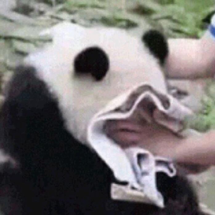光遇小萌新