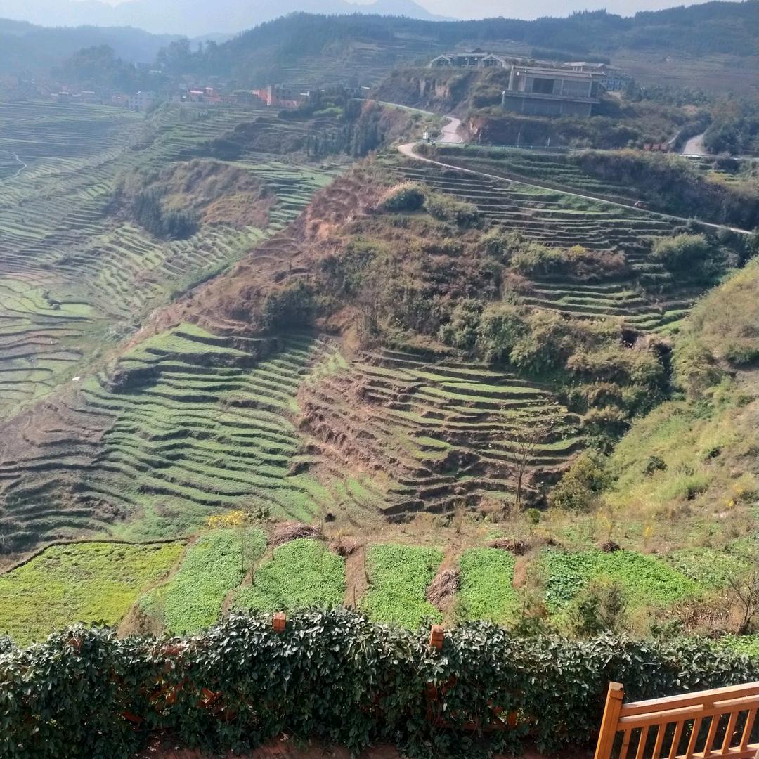 打工好苦瓜是我一个打工妺