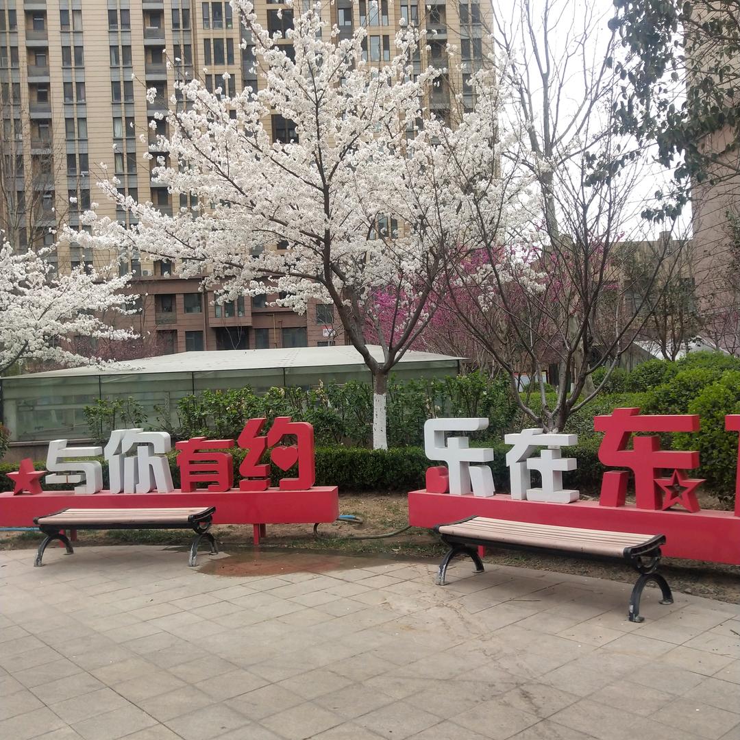 心平气和
