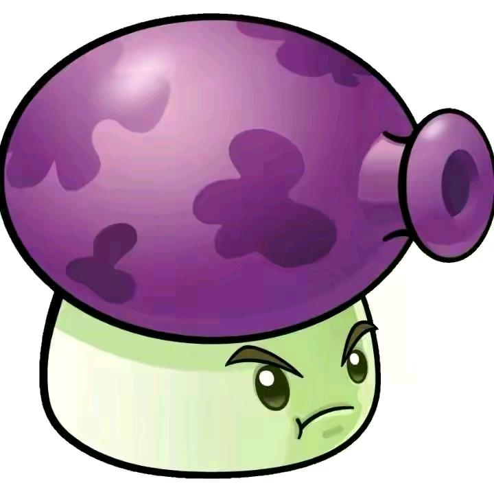🟣🟣 🟣🟣 🟣🟣 🟣🟣
