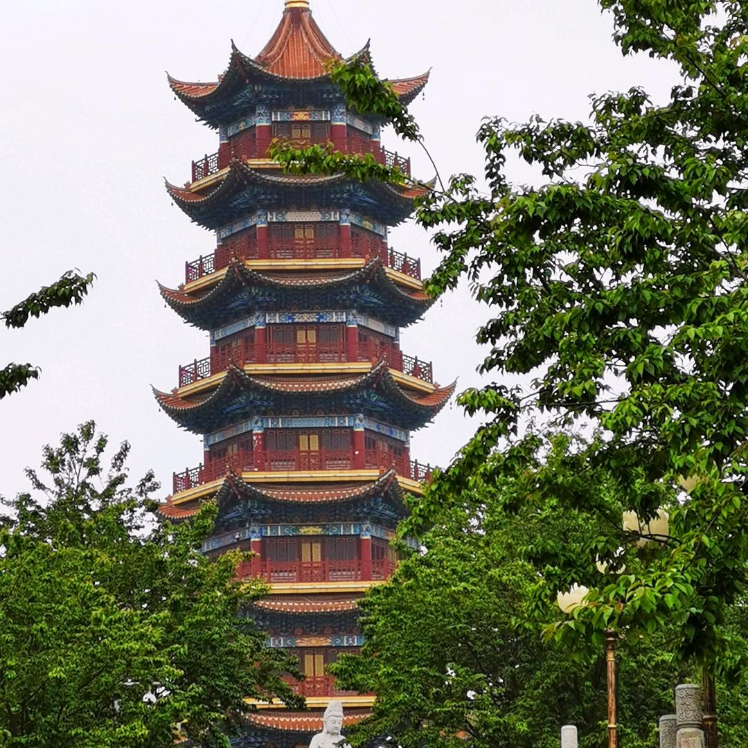 惠慧会汇