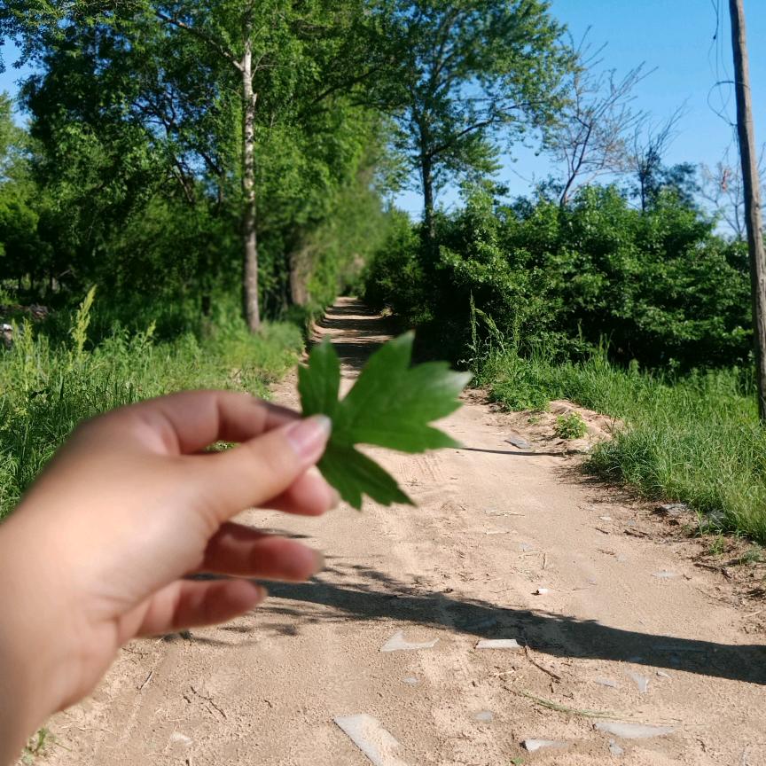 訫疼伱（小青）